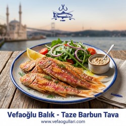 Barbun 